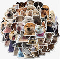 Funny Animal sticker (10pcs)