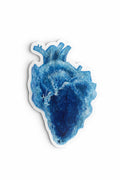 Anatomical Heart Sticker